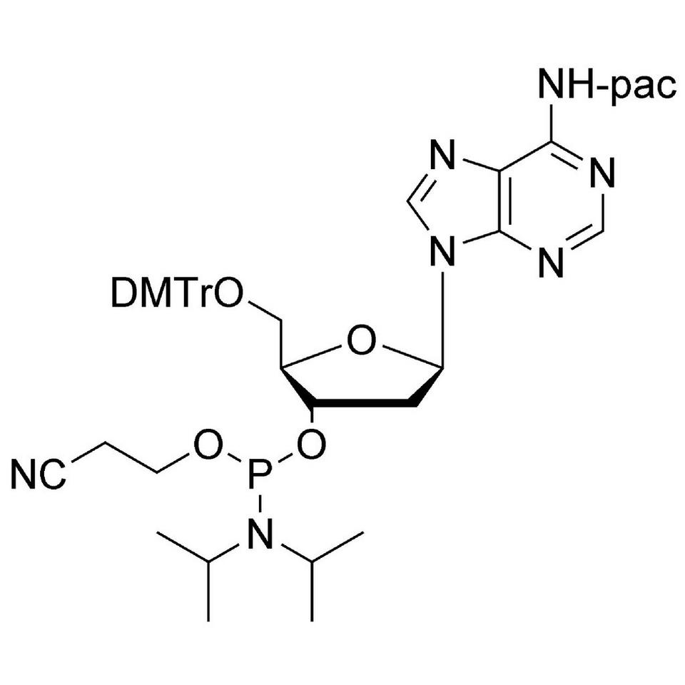 dA (Pac) CE-Phosphoramidite